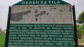 Information board for Archaeological site Harsh ka Tila.jpg