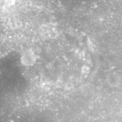 Lawrence crater AS15-M-2127.jpg