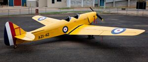 Moth Minor A21-42 Benalla 2012-06-03.jpg