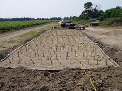 Newly planted constructed wetland.jpg