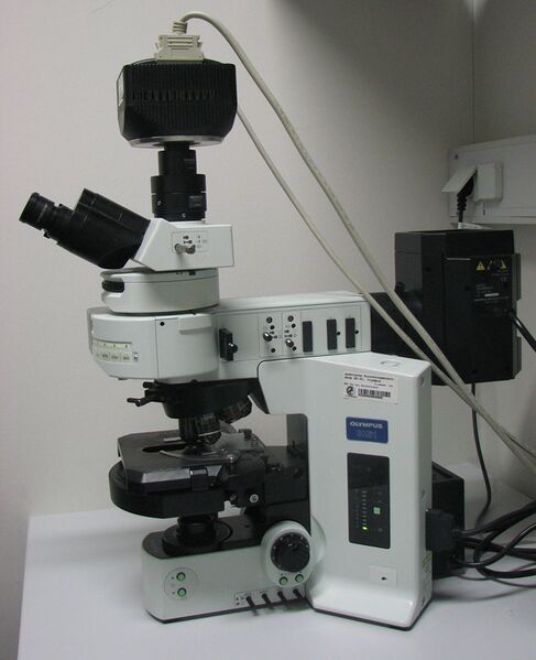 File:Olympus-BX61-fluorescence microscope.jpg