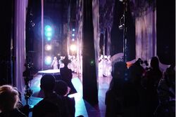View of a performance on stage from the wings.jpg