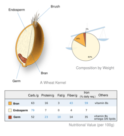Wheat-kernel nutrition.svg