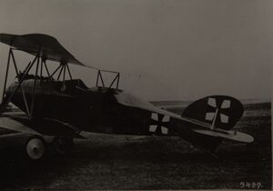 Albatros C.IX.jpg