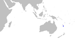 Aulohalaelurus kanakorum distmap.png