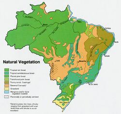 Brazil veg 1977.jpg