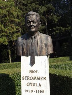 Bust of Prof Gyula Strommer (1920-1995) at Budapest Technical University 002.jpg