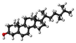 Ball-and-stick model of campesterol