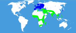 Distribution map Daphnis nerii.svg