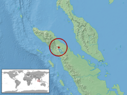 Gonocephalus lacunosus distribution.png