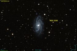 NGC 2336 DSS.jpg