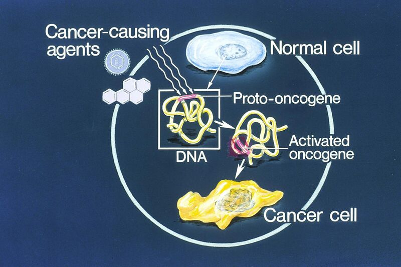 File:Oncogenes illustration.jpg