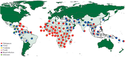 Relative incidence of Plasmodium (malaria) species by country of origin for imported cases to non-endemic countries.png