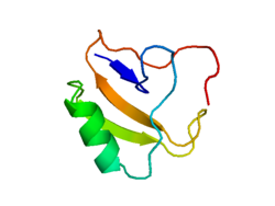 Scorpiontoxinproteinimage.png