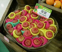 Taiwan fruits.jpg