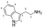 Tryptamine structure.png