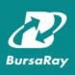 BursaRay logo.png