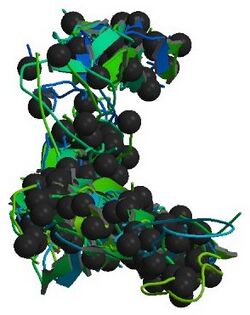 COL1A1 protein - PDB rendering based on 1y0f.jpg