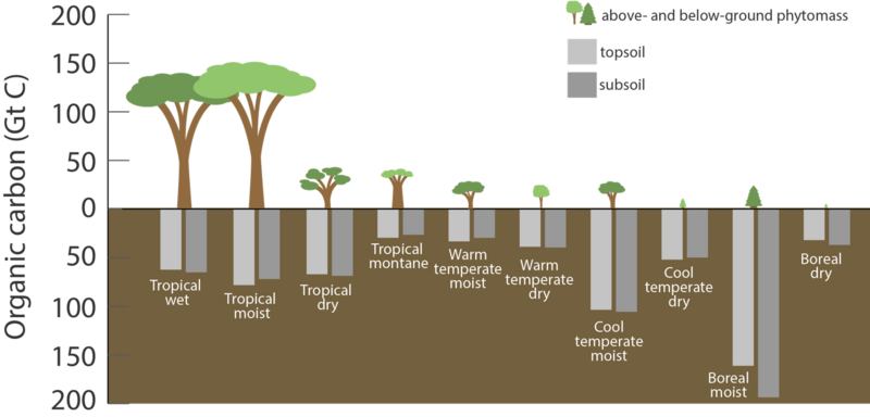 File:Carbon stored in ecosystems.png