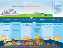 Climate change threats to coral reefs.png