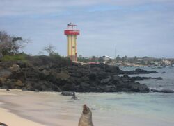 The shoreline of Puerto Baquerizo with a sea lion in the foreground