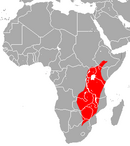 In Botswana, Burundi, Democratic Republic of the Congo, Ethiopia, Kenya, Malawi, Mozambique, Rwanda, South Africa, Sudan, Tanzania, Uganda, Zambia, Zimbabwe