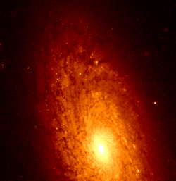 NGC 2090 hst 05446 0w 606.png