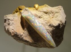 Neohibolites sp., opalized belemnite, Late Early Cretaceous, Coober Pedy Formation, Coober Pedy, South Australia - Houston Museum of Natural Science - DSC01937.JPG
