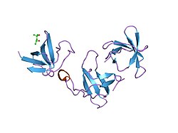 PDB 1gcq EBI.jpg