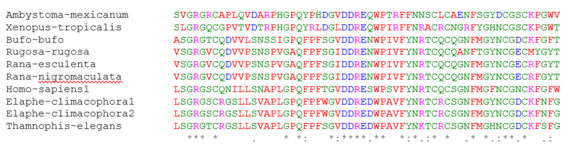 File:Protein nucleotides.png