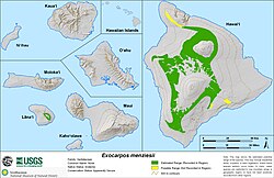Range Map of Exocarpos menziesii.jpg