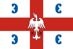 Royal banner of Mrnjavčević family.svg