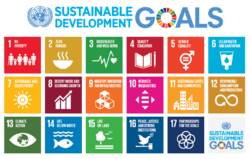 Sustainable Development Goals.png