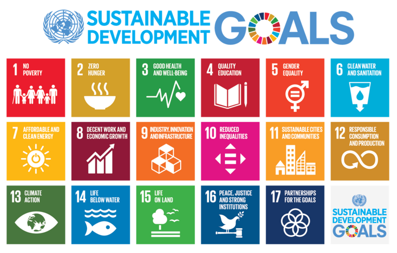 File:Sustainable Development Goals.png