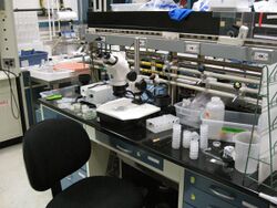 Synthetic Biology Research at NASA Ames.jpg