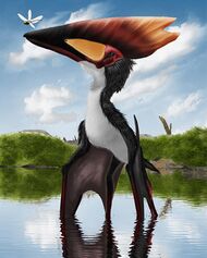 Illustration of a Thalassodromeus, with bat-like wings, black and white plumage and a large, flat orange, red and black head