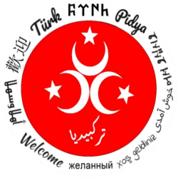 Turkpidya logo.svg