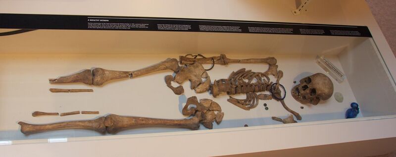 File:Yorkshire Museum - skeleton of a wealthy woman 1.jpg