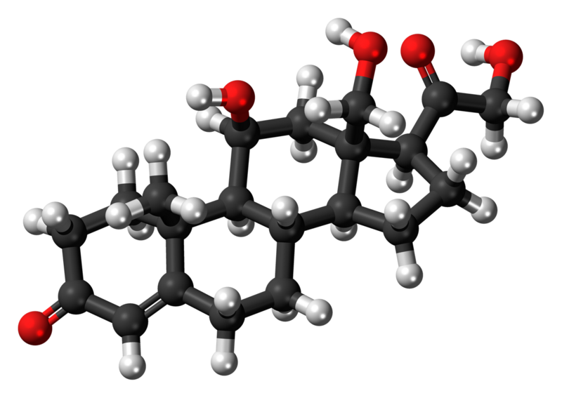 File:18-Hydroxycorticosterone-3D-balls.png