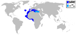 Apogon imberbis mapa.svg