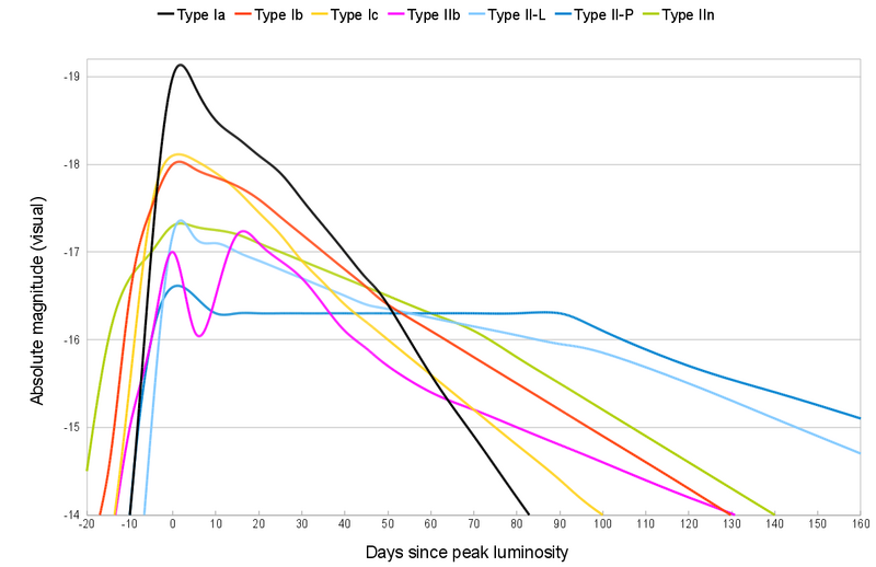 File:Comparative supernova type light curves.png