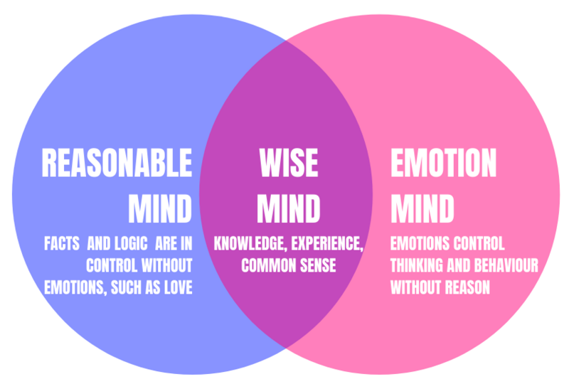 File:DBT Wise mind.png