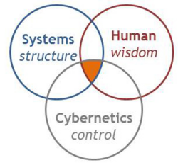 3 areas of IEEE SMC technical activities