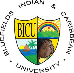 LOGO OFICIAL BICU.png