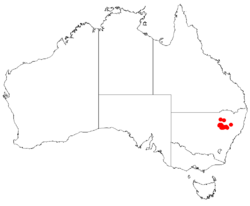 Macrozamia diplomera Dist Map5.png