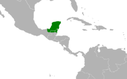 Melanoptila glabrirostris map.svg