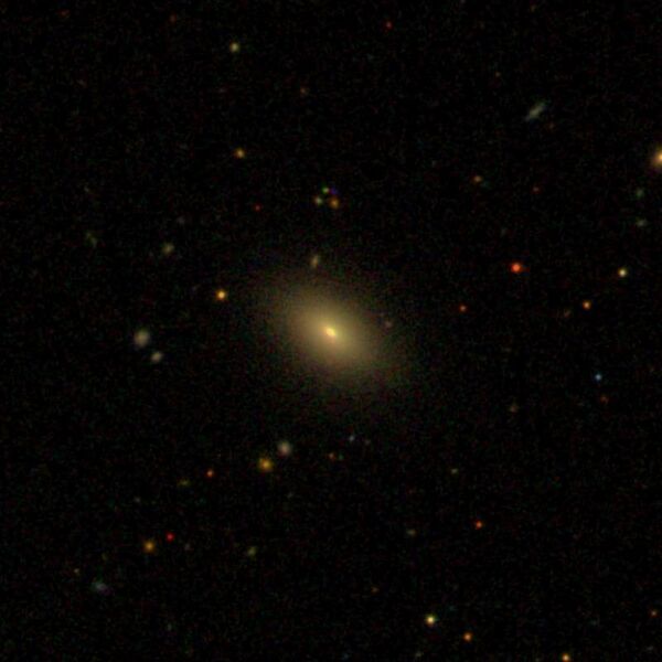File:NGC505 - SDSS DR14.jpg
