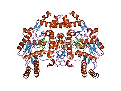 PDB 2hx2 EBI.jpg