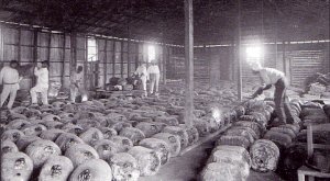 Rubber bales, ready for removal, Cachuela Esperanza, 1914.gif