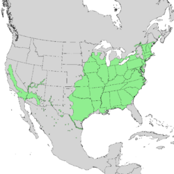 Salix nigra range map 1.png